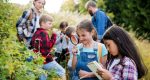 Sommerschule: Schulen können freiwillige Bildungsangebote in den Sommerferien anbieten