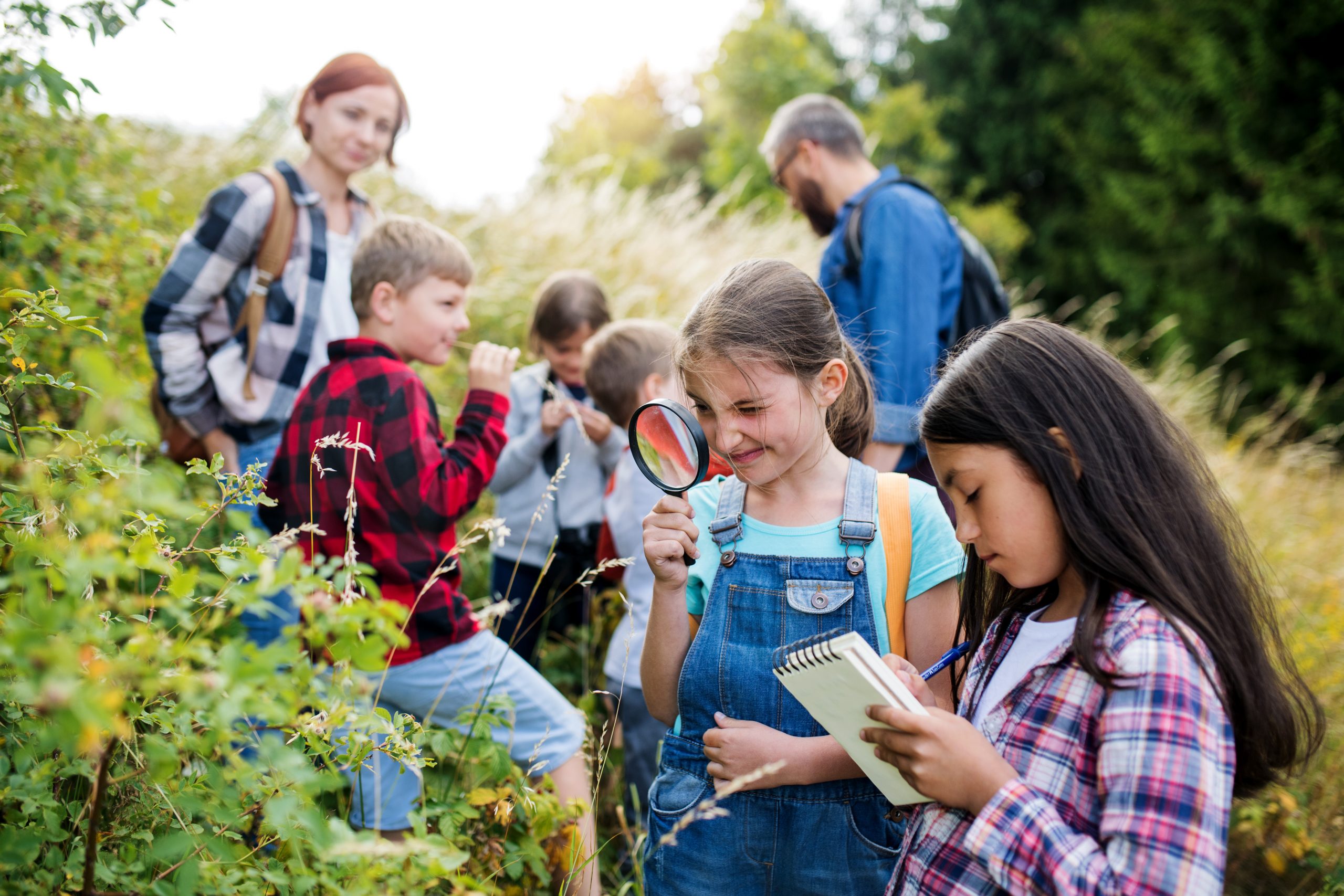 Sommerschule: Schulen können freiwillige Bildungsangebote in den Sommerferien anbieten