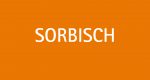 Erste Ergebnisse aus sprachwissenschaftlichen Untersuchungen an sorbisch-deutschen Schulen