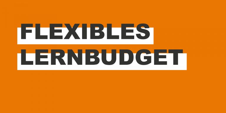 Flexibles Lernbudget – eine erste Bilanz