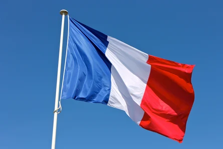 Flagge